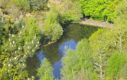 Woodland in central Brittany