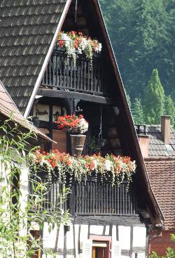 Maison en Alsace