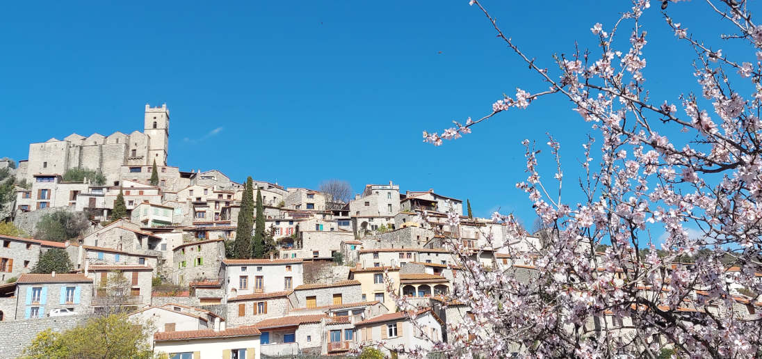 Village au Languedoc